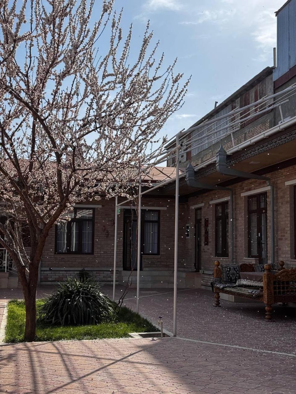 Salomat Guest House Σαμαρκάνδη Εξωτερικό φωτογραφία